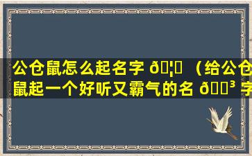 公仓鼠怎么起名字 🦈 （给公仓鼠起一个好听又霸气的名 🐳 字）